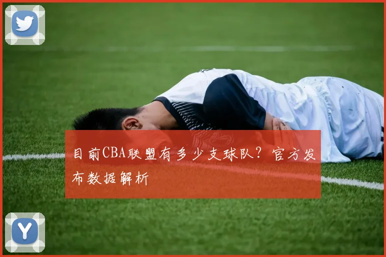 目前CBA联盟有多少支球队?官方发布数据解析