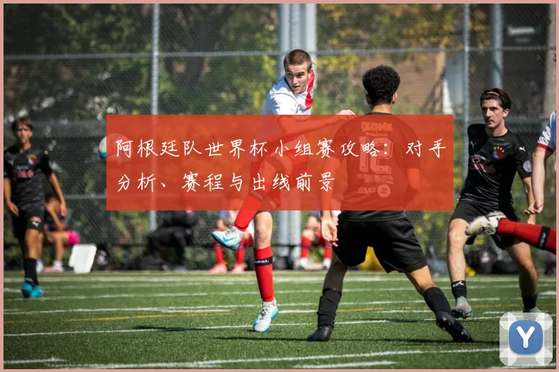 阿根廷队世界杯小组赛攻略：对手分析、赛程与出线前景