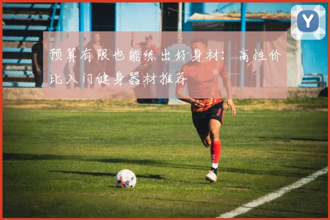 预算有限也能练出好身材：高性价比入门健身器材推荐