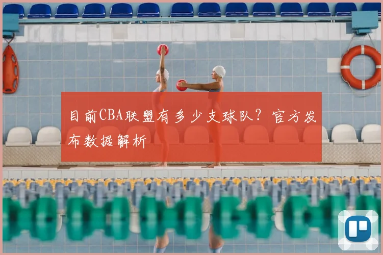 目前CBA联盟有多少支球队？官方发布数据解析
