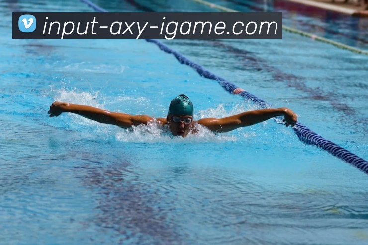 多媒体互动体验